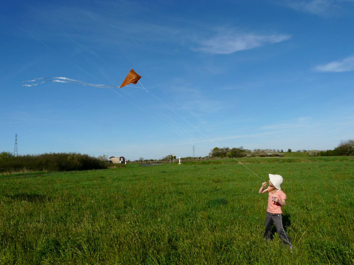 16 Beau Du Ciel animation enfant et cerf volant loading file
