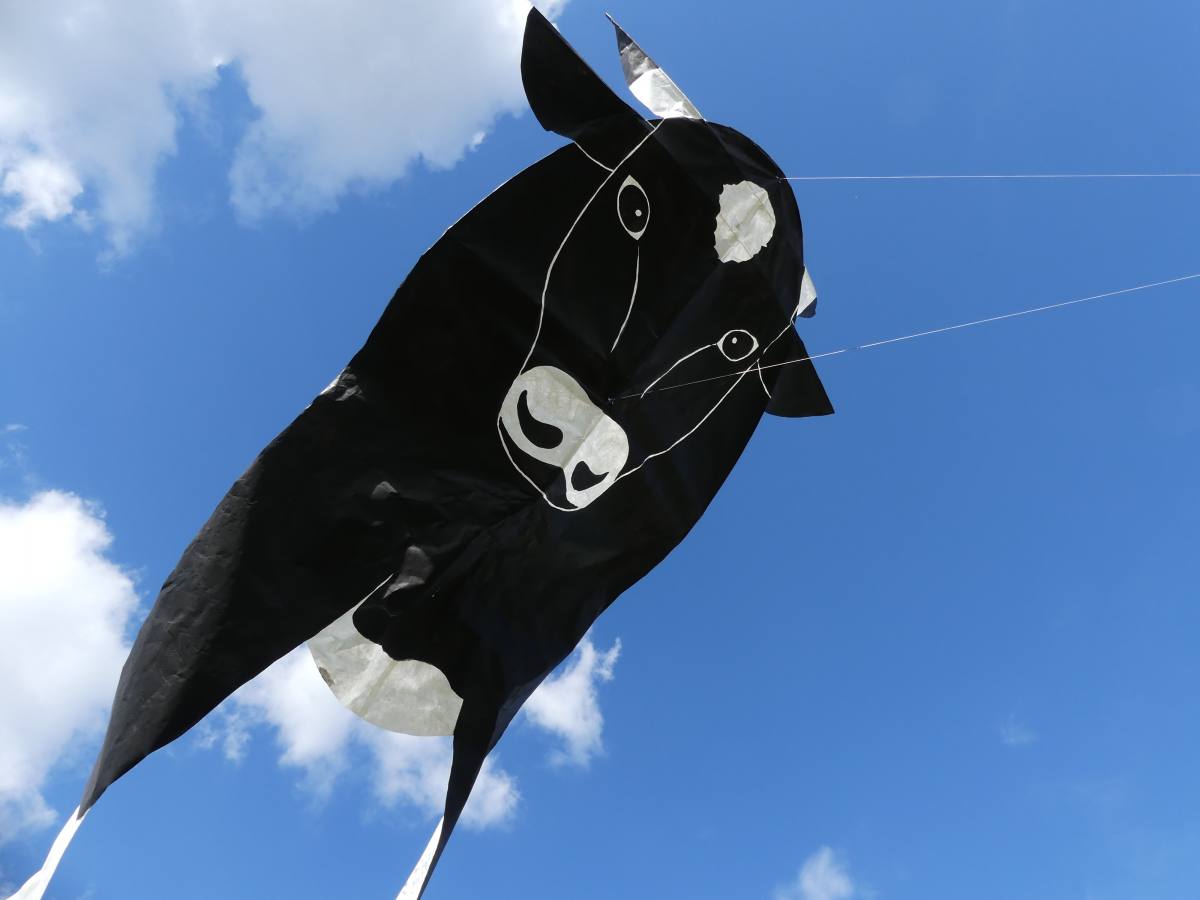 19 Beau Du Ciel animation cerf volant 20 loading file