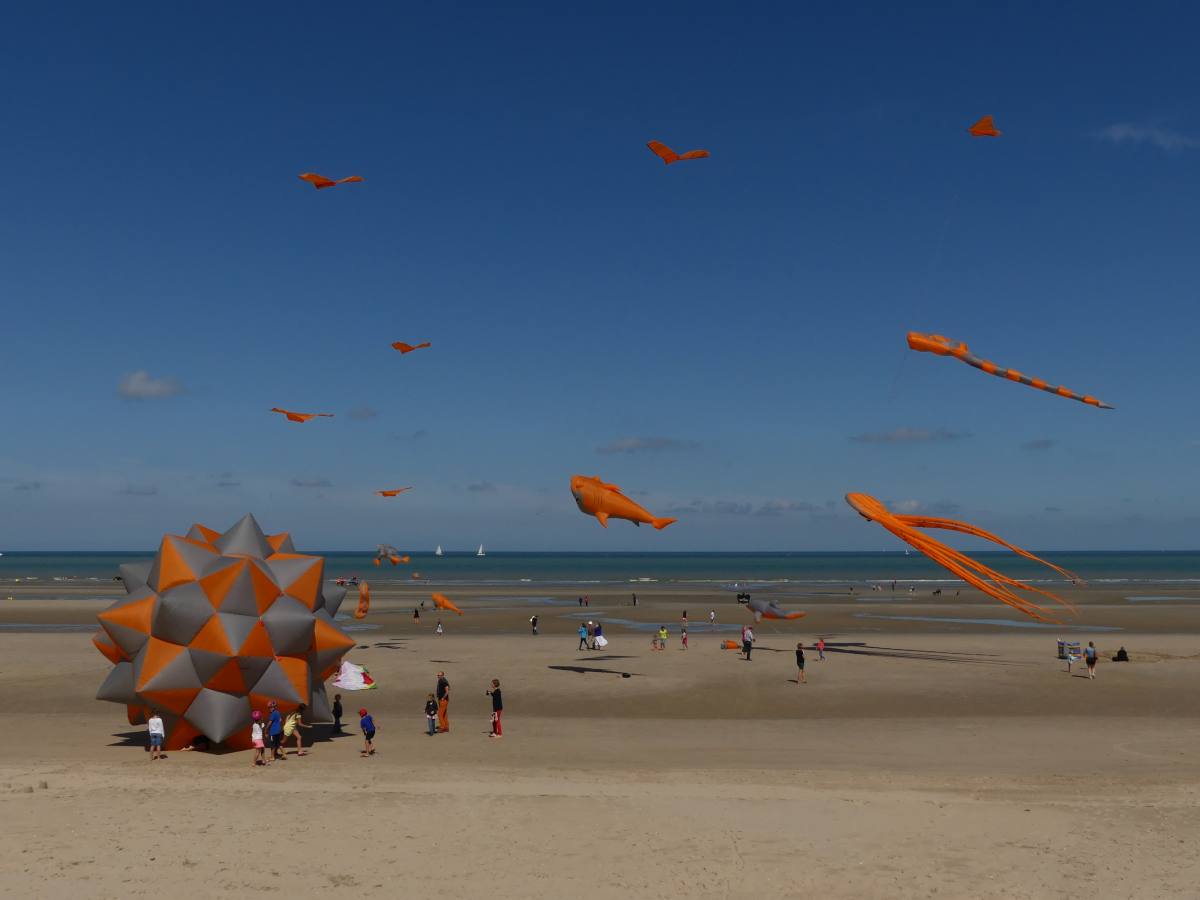 20 Beau Du Ciel animation spectacle Envol cerf volant 05 loading file