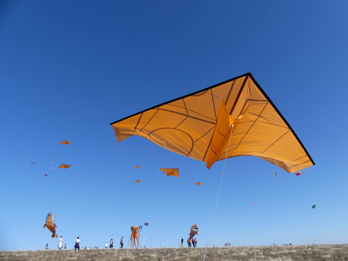 21 Beau Du Ciel animation spectacle Envol cerf volant 23 loading file