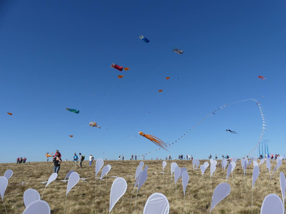 22 Beau Du Ciel animation spectacle Envol cerf volant 24 loading file