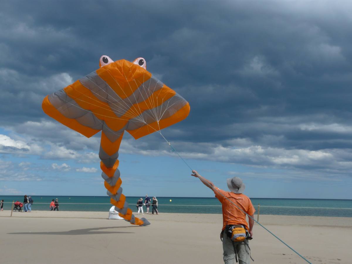 25 Beau Du Ciel animation spectacle envol cerf volant 00 loading file