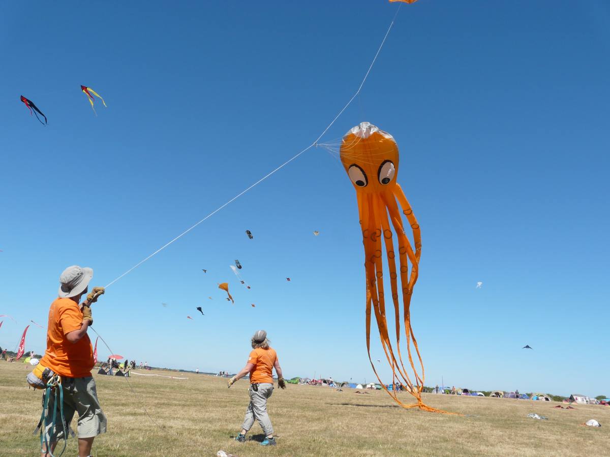 26 Beau Du Ciel animation spectacle envol cerf volant 02 loading file