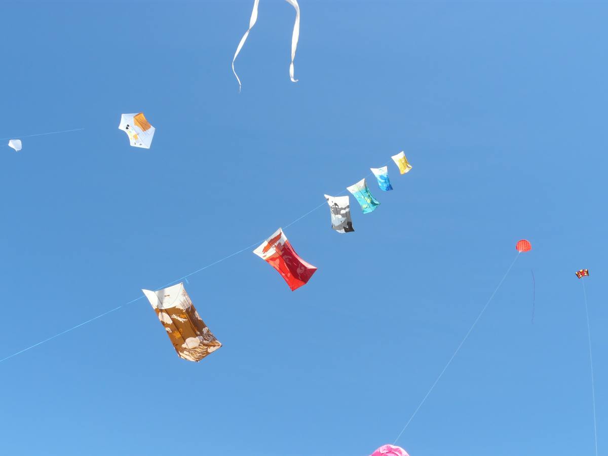 27 Beau Du Ciel animation spectacle envol cerf volant 01 loading file