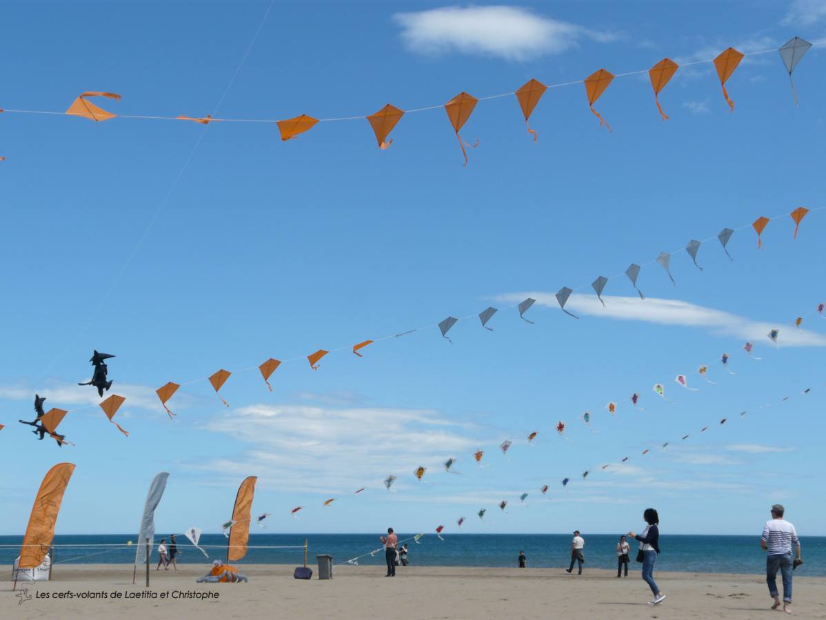 28 Beau Du Ciel animation spectacle envol cerf volant 04 loading file