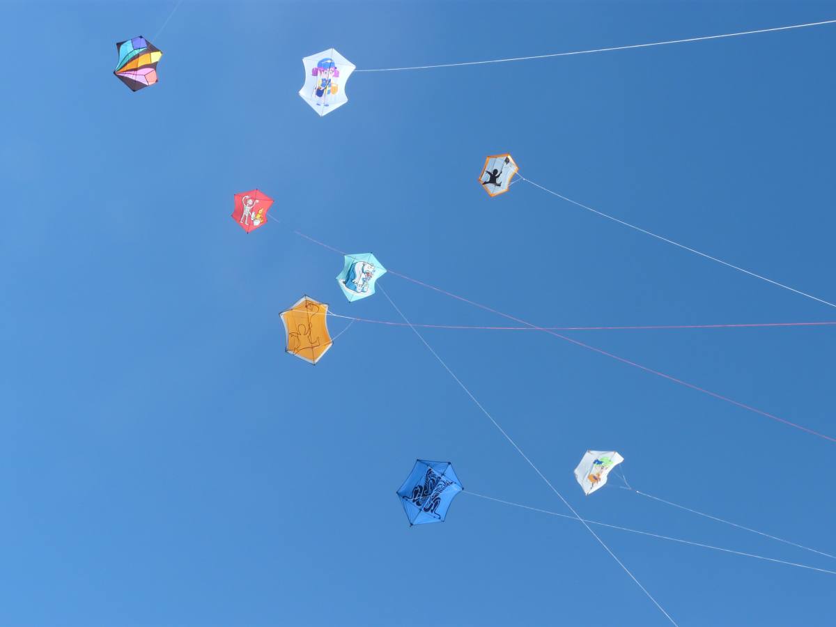 29 Beau Du Ciel animation spectacle envol cerf volant 03 loading file