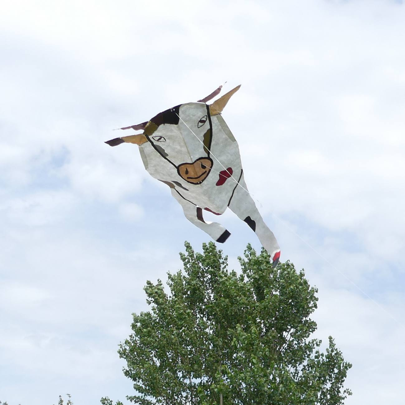 Performance artistique, création et cerf-volant - 3/18 Beau Du Ciel Biennale ateliercv 3