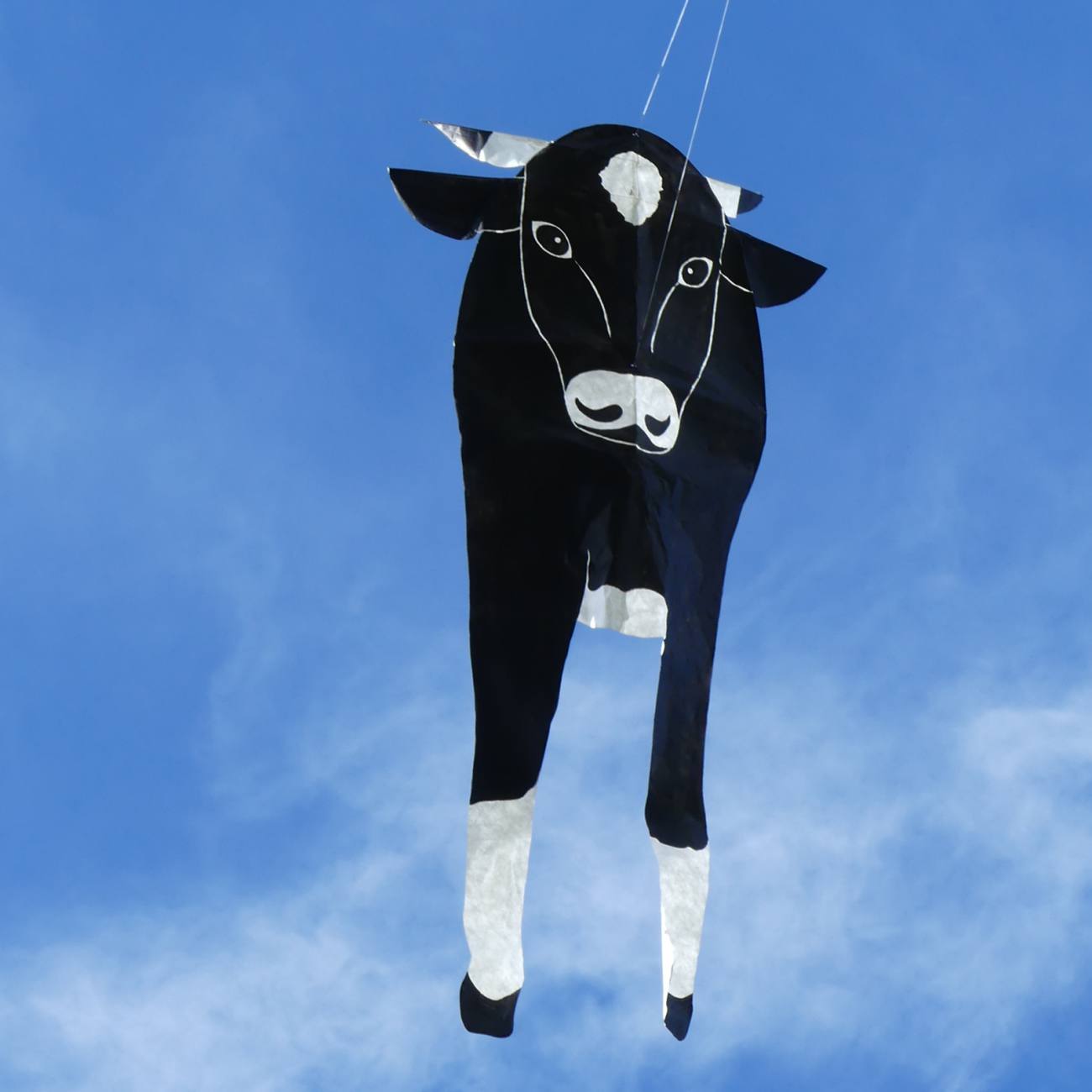 Performance artistique, création et cerf-volant - 14/18 Beau Du Ciel Biennale ateliercv 4