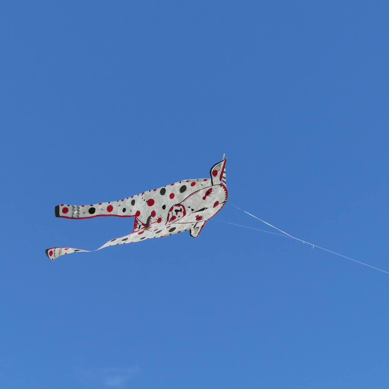 Performance artistique, création et cerf-volant - 15/18 Beau Du Ciel Biennale ateliercv 5