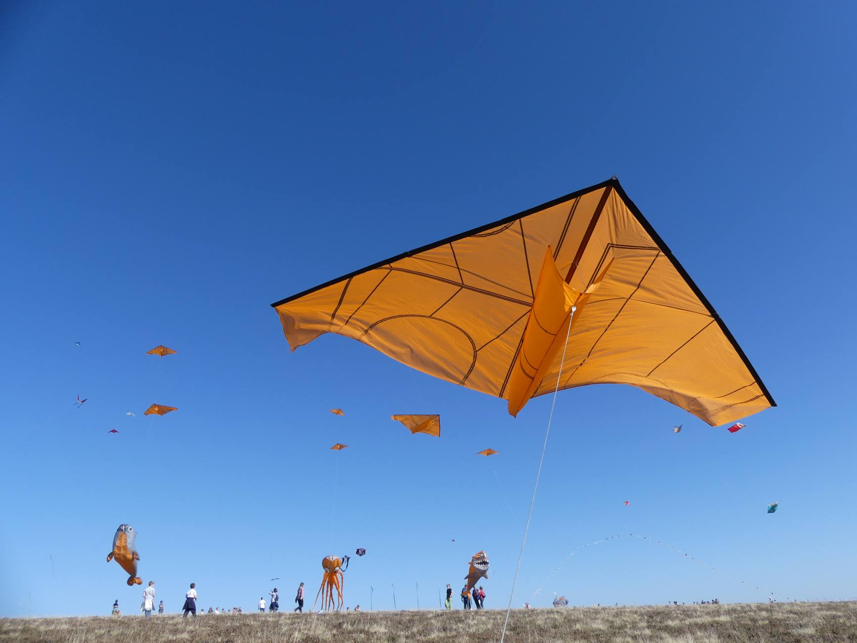 Beau Du Ciel Montbrison17 envolcv 3