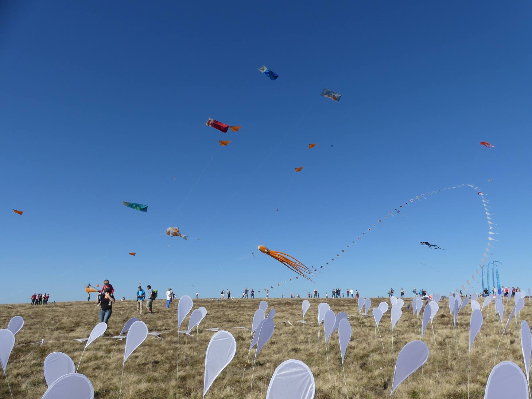 Beau Du Ciel Montbrison17 envolcv 4