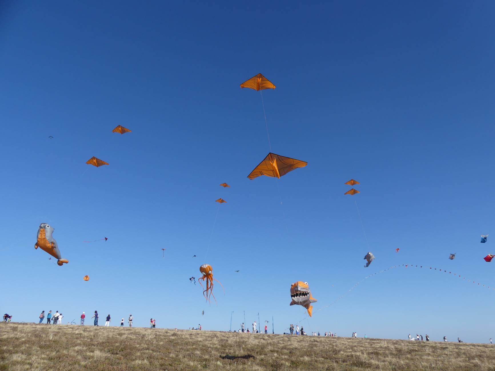 Beau Du Ciel Montbrison17 envolcv 7