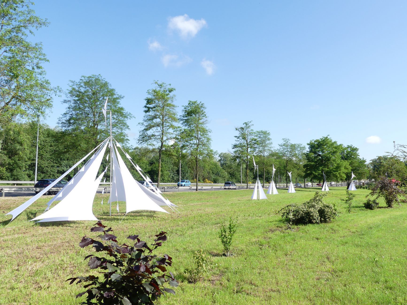 Beau Du Ciel Fete Biodiversite 6