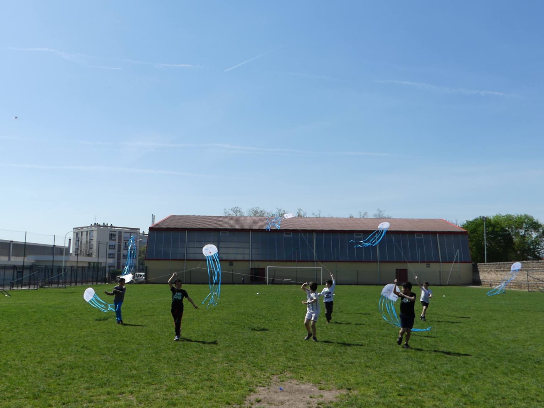 Stage cerf-volant - 10/16 Beau Du Ciel Anim Grigny 0