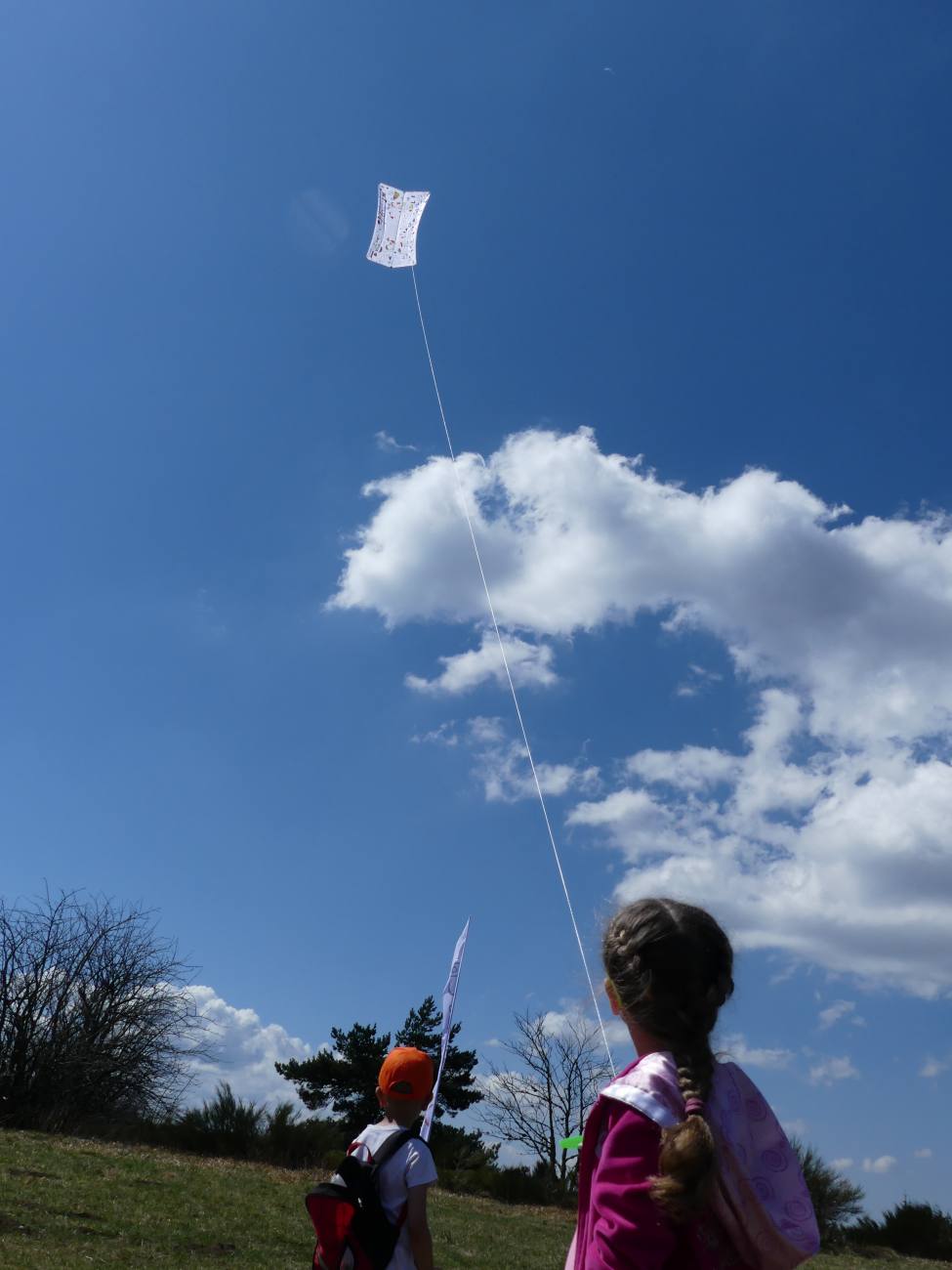 Stage cerf-volant - 14/16 Beau Du Ciel Anim Grigny 4