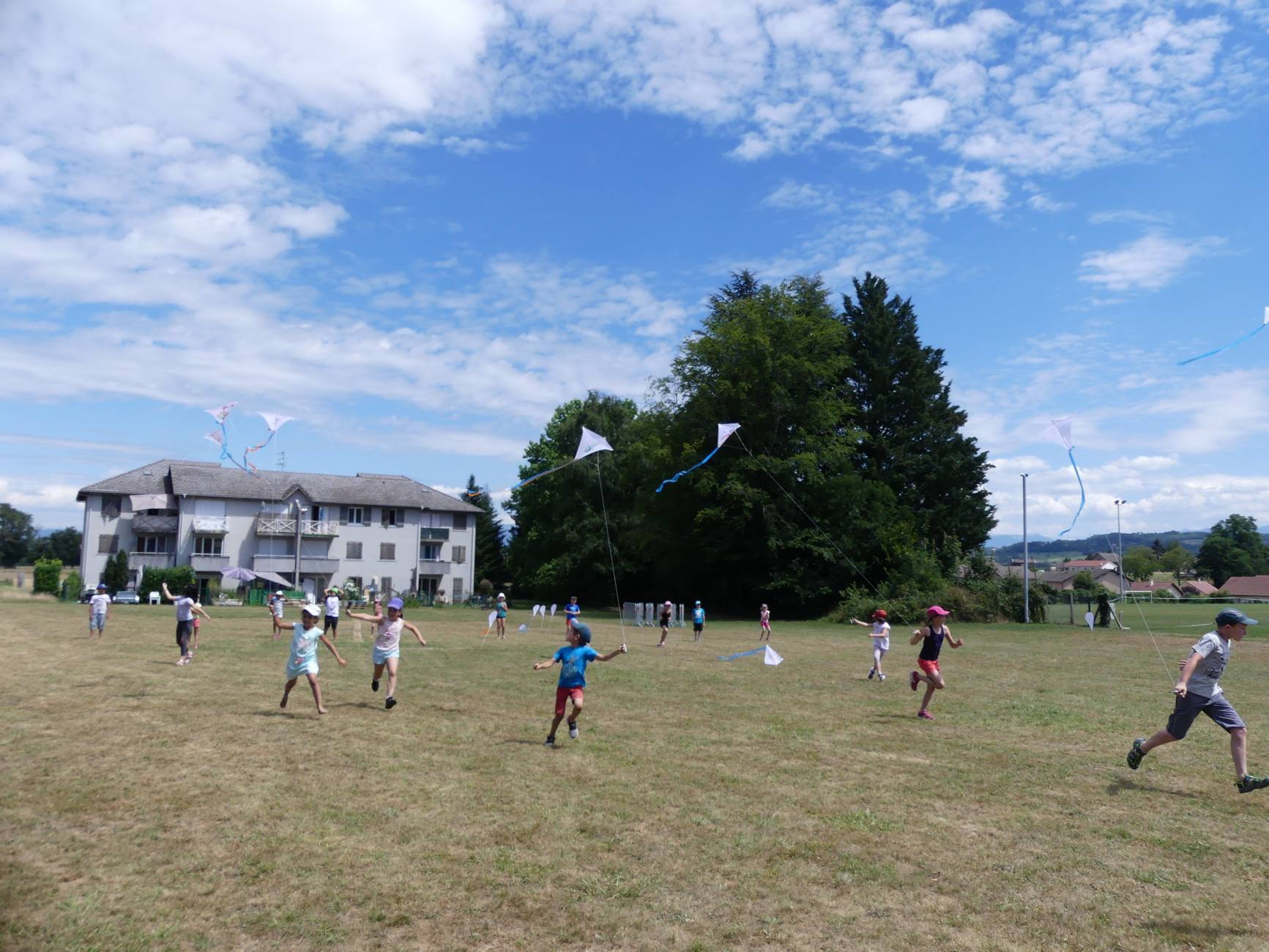 Beau Du Ciel CL FamilleTortue19 7