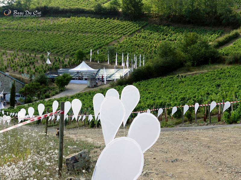 Beau Du Ciel Beaujolais19 2