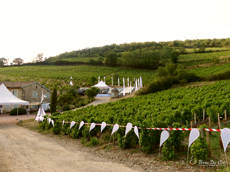 Beau Du Ciel Beaujolais19 3