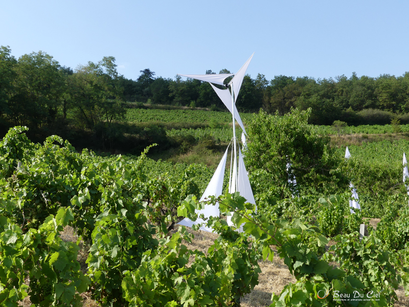 Beau Du Ciel Beaujolais19 4
