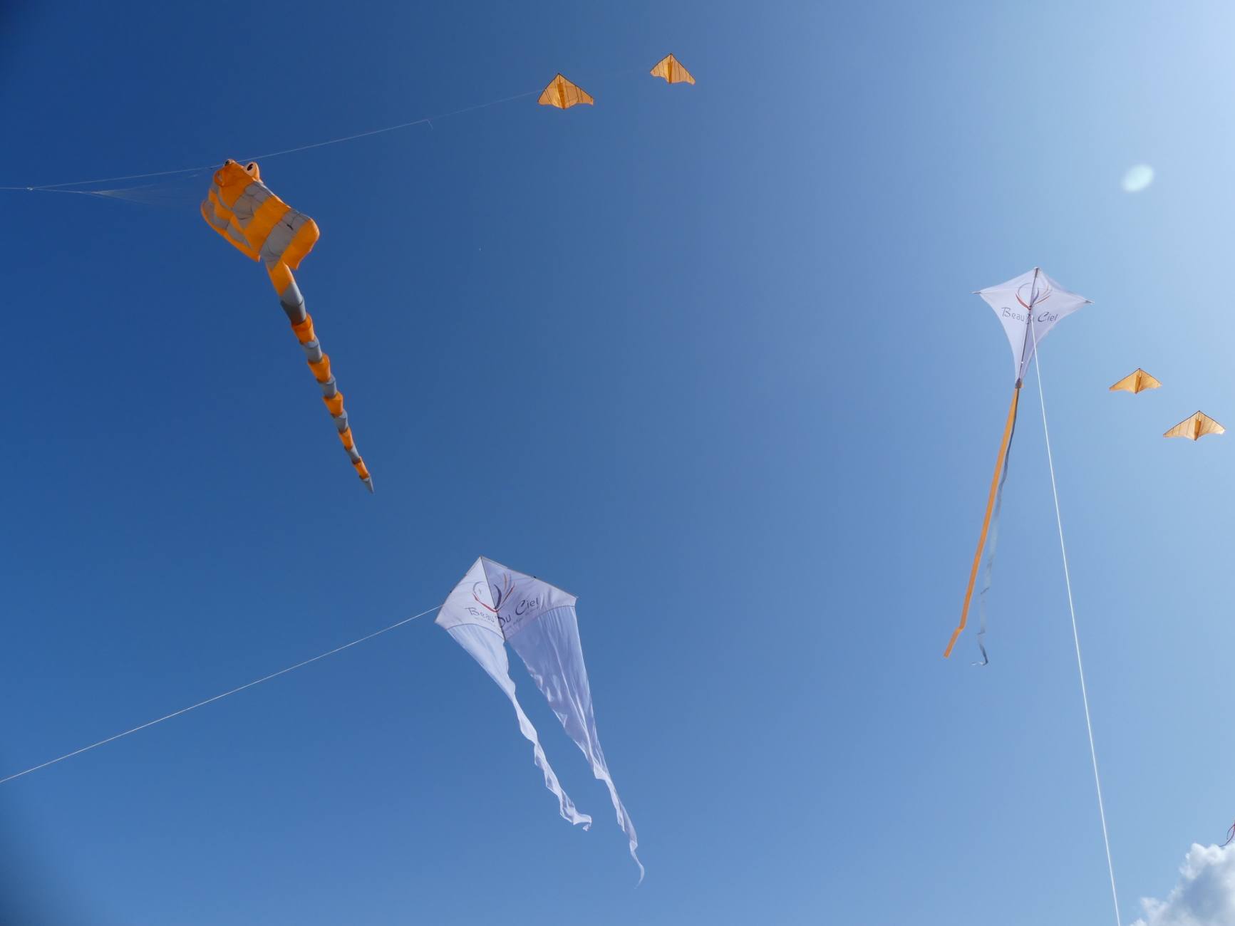 Beau Du Ciel cerf volant avec logo19 1