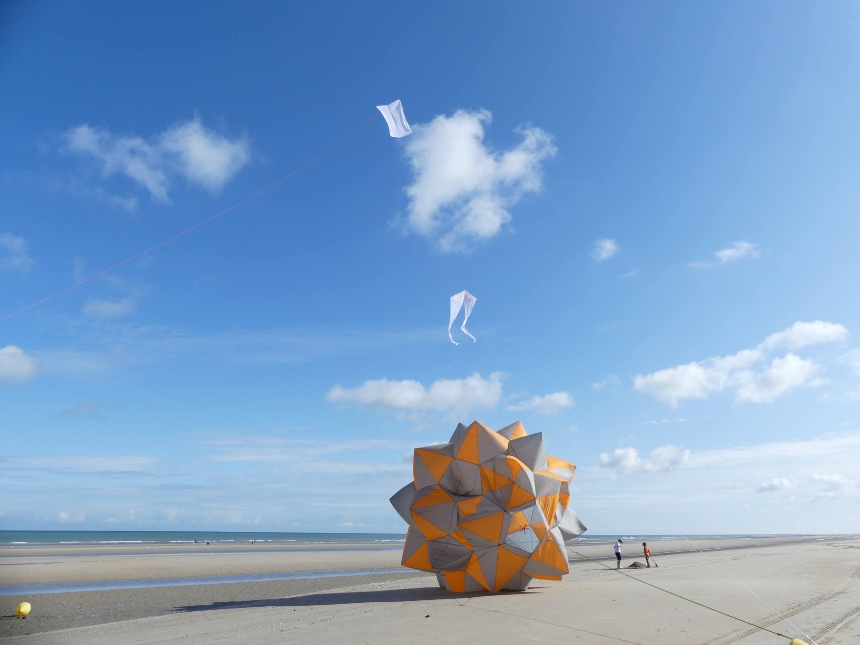 Beau Du Ciel cerf volant avec logo19 2