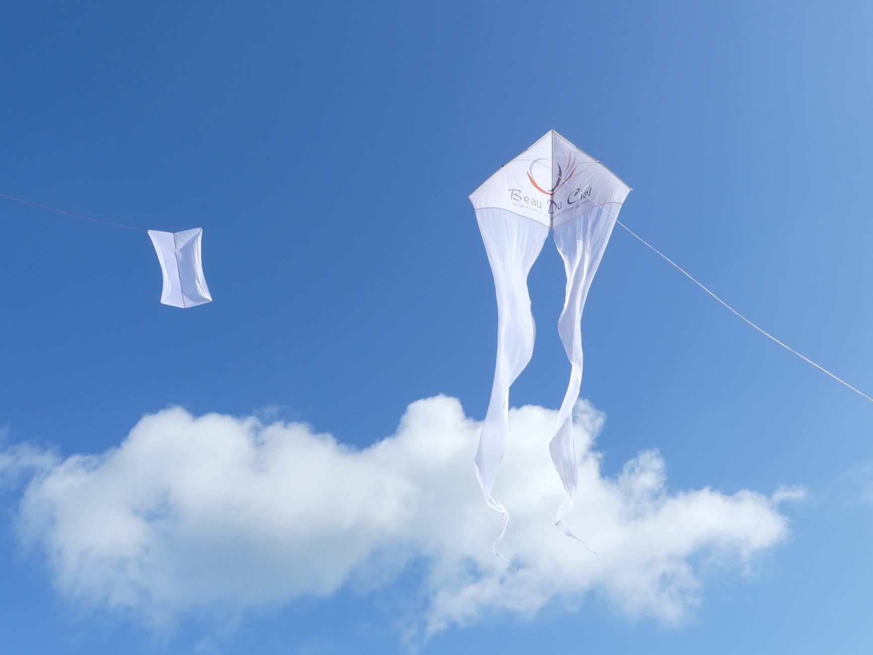 Beau Du Ciel cerf volant avec logo19 4