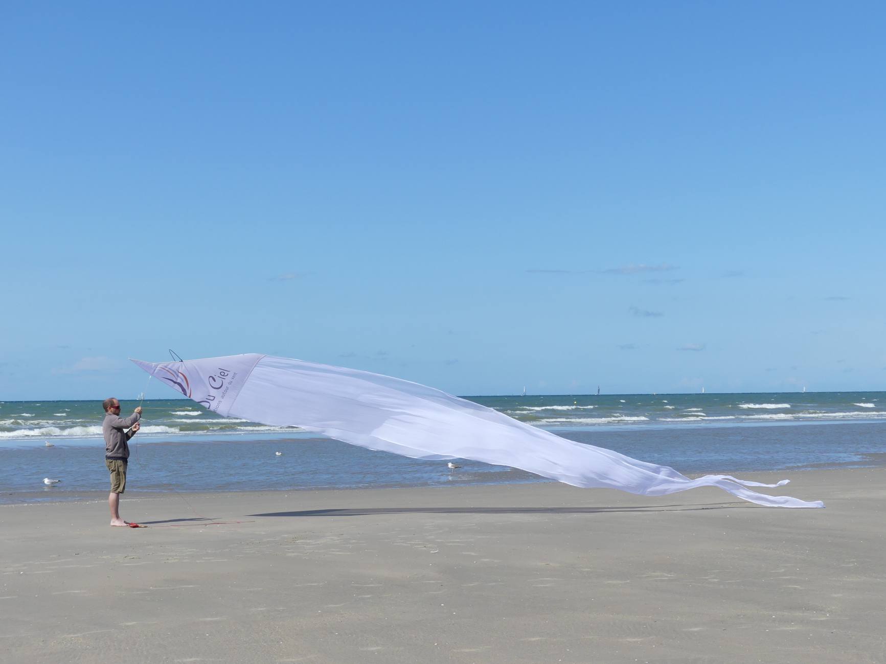 Beau Du Ciel cerf volant avec logo19 5