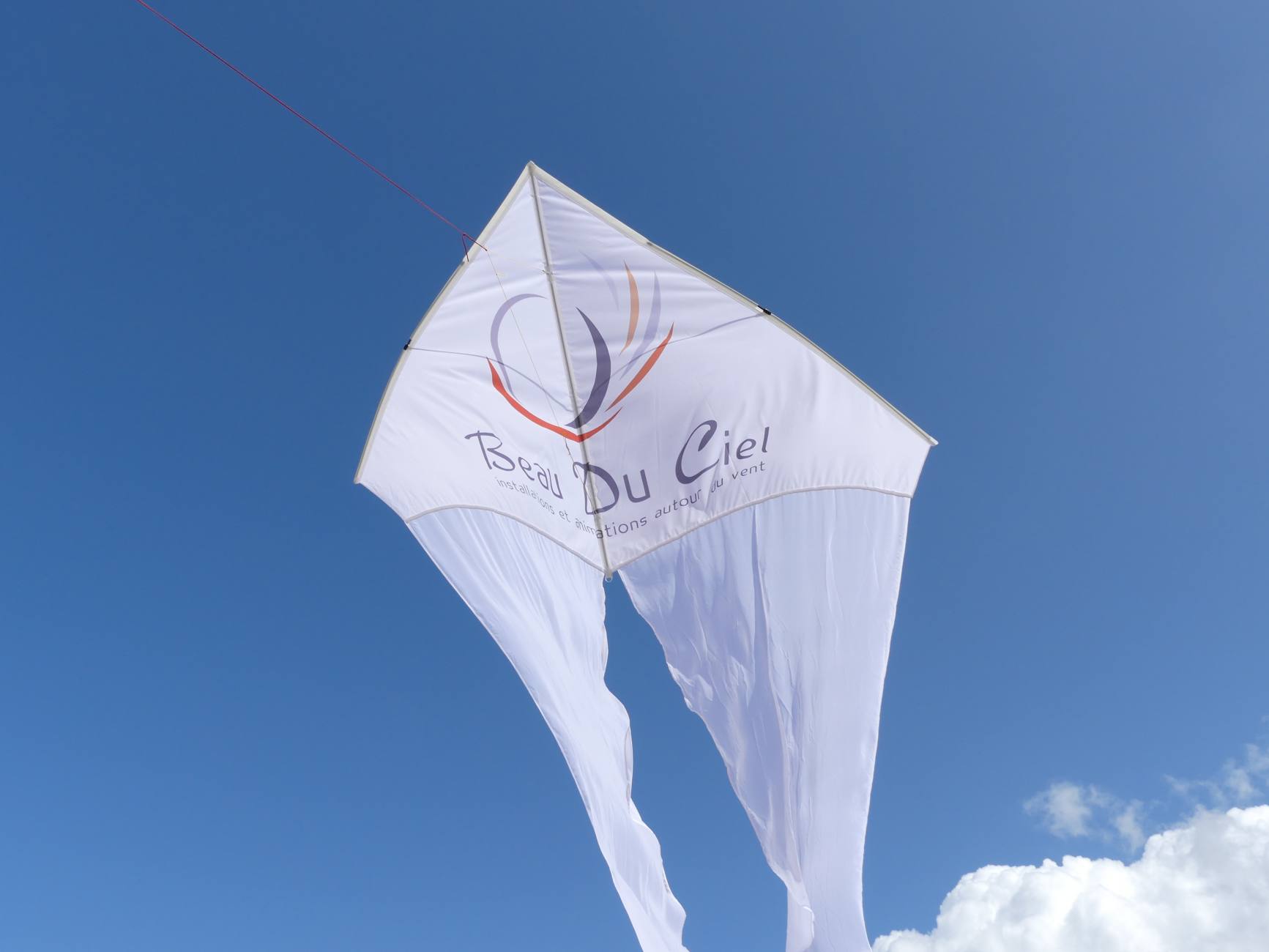 Beau Du Ciel cerf volant avec logo19 6