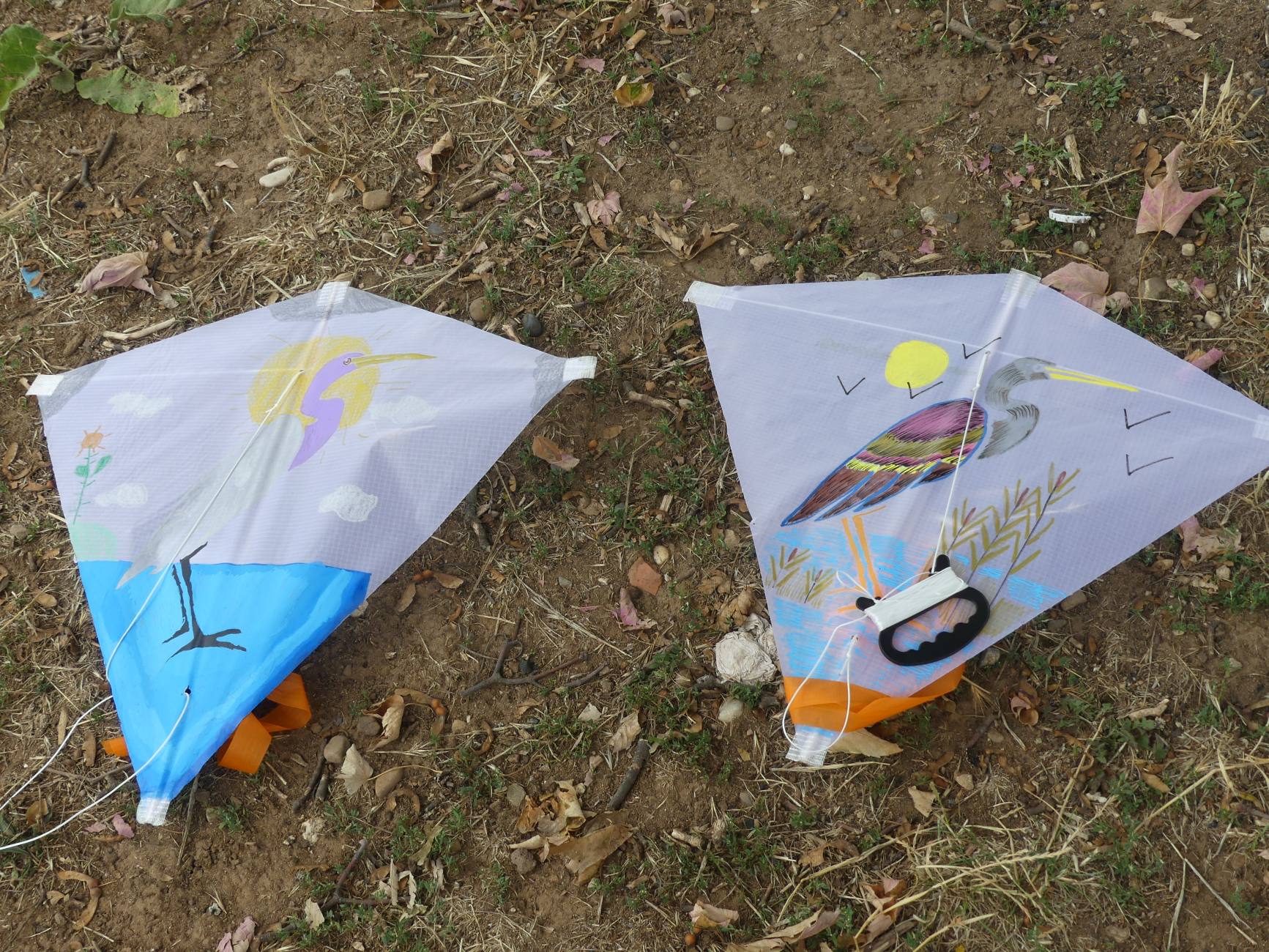 Beau Du Ciel Animation Feyssine 8