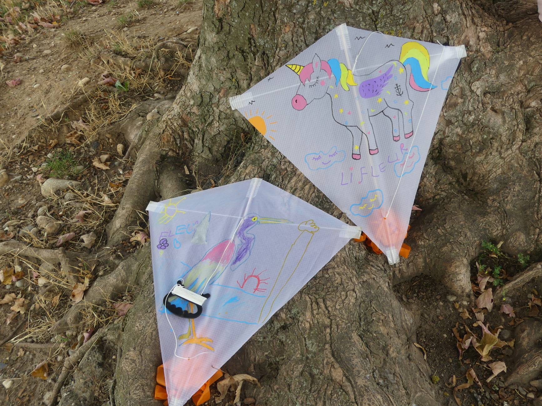 Beau Du Ciel Animation Feyssine 9