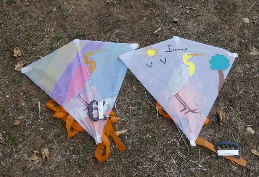 Beau Du Ciel Animation Feyssine 0